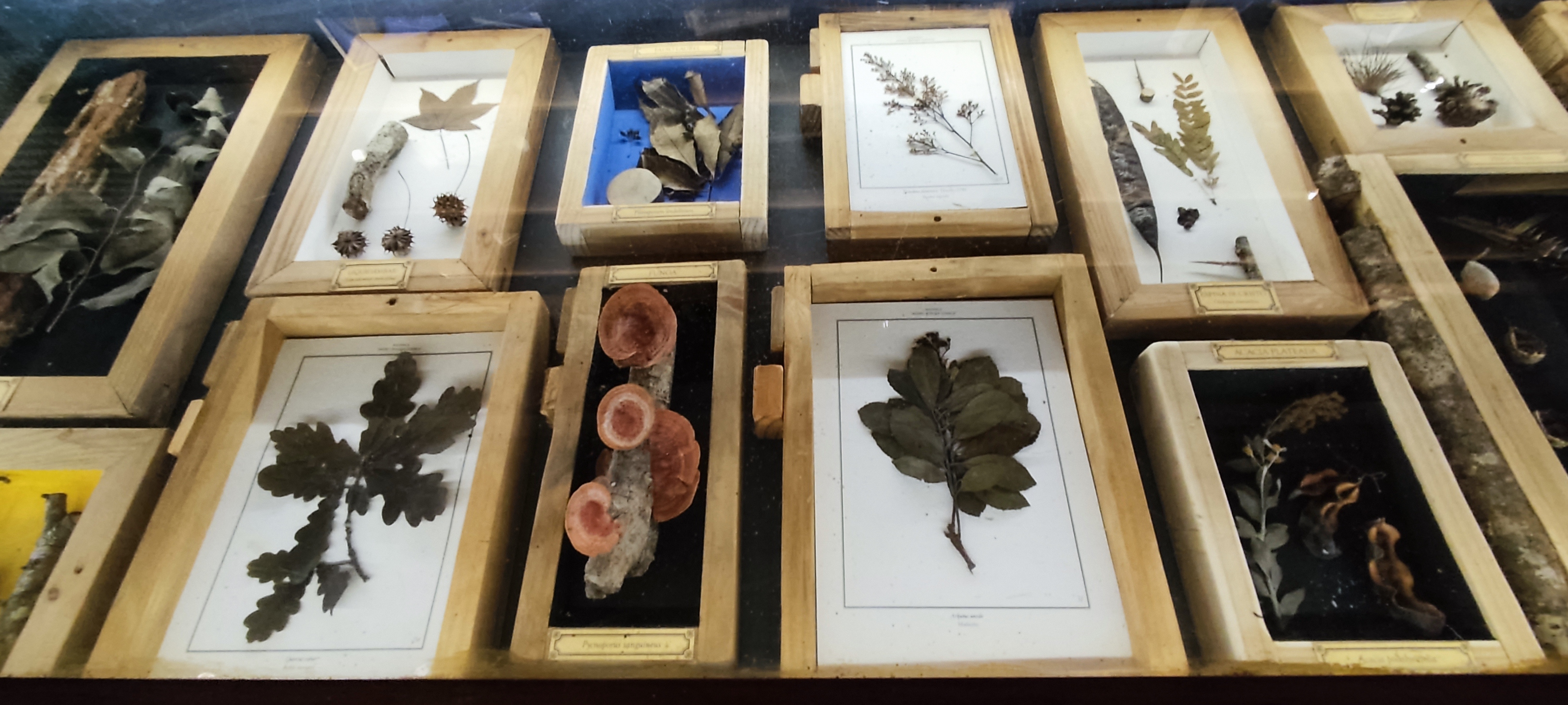 Colección Científica